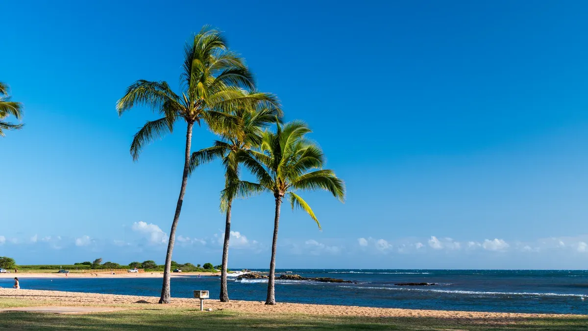 Palm trees at Salt Pond Beach Park near Port Allen on Kauai, close to Napali Coast boat tour departures