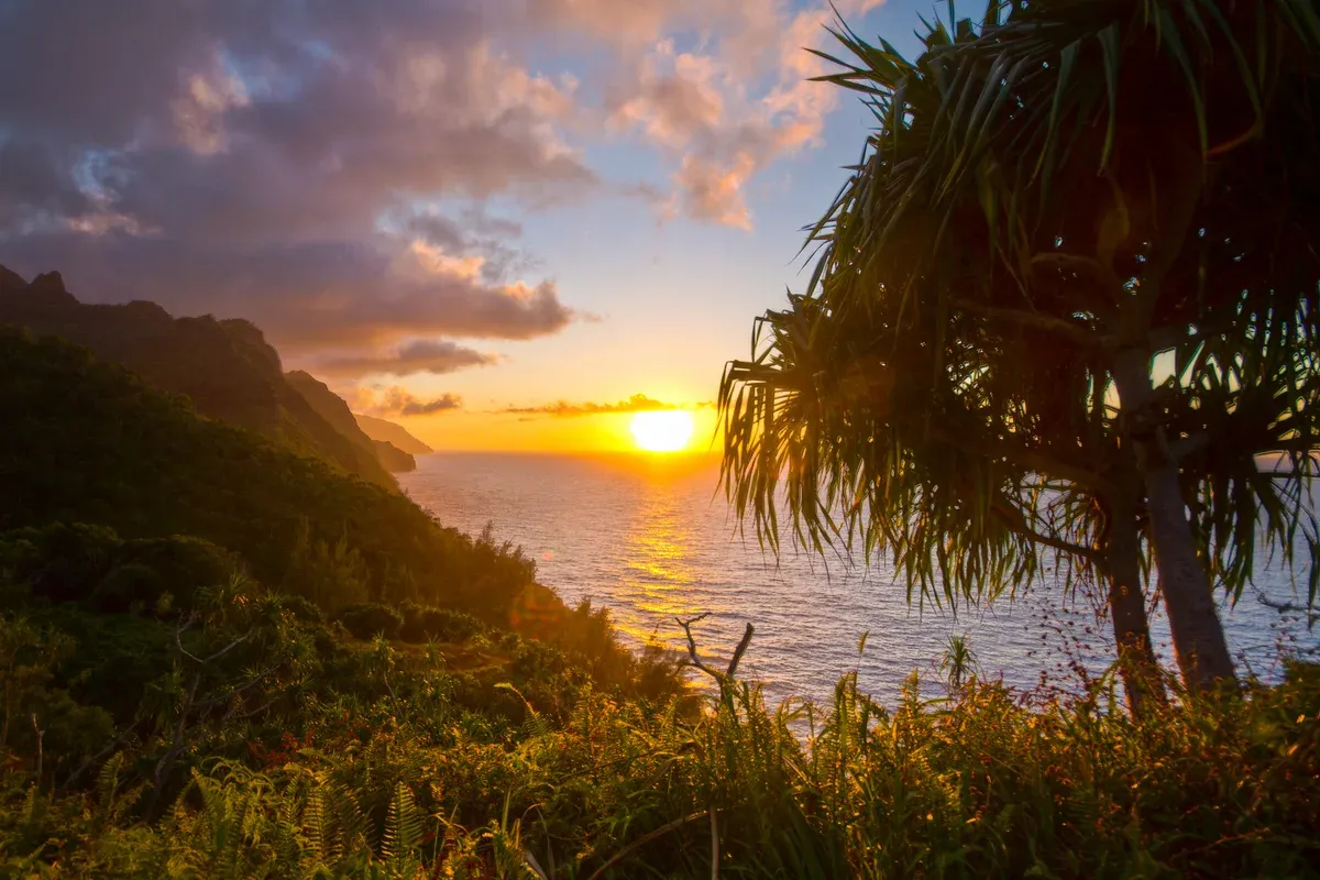 Sun setting behind palms and the Na Pali Coast cliffs on Kauai, as seen on Napali Coast sunset sails